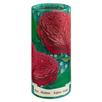 Rose Madame Scipion | Large Cylinder - Safety Matches