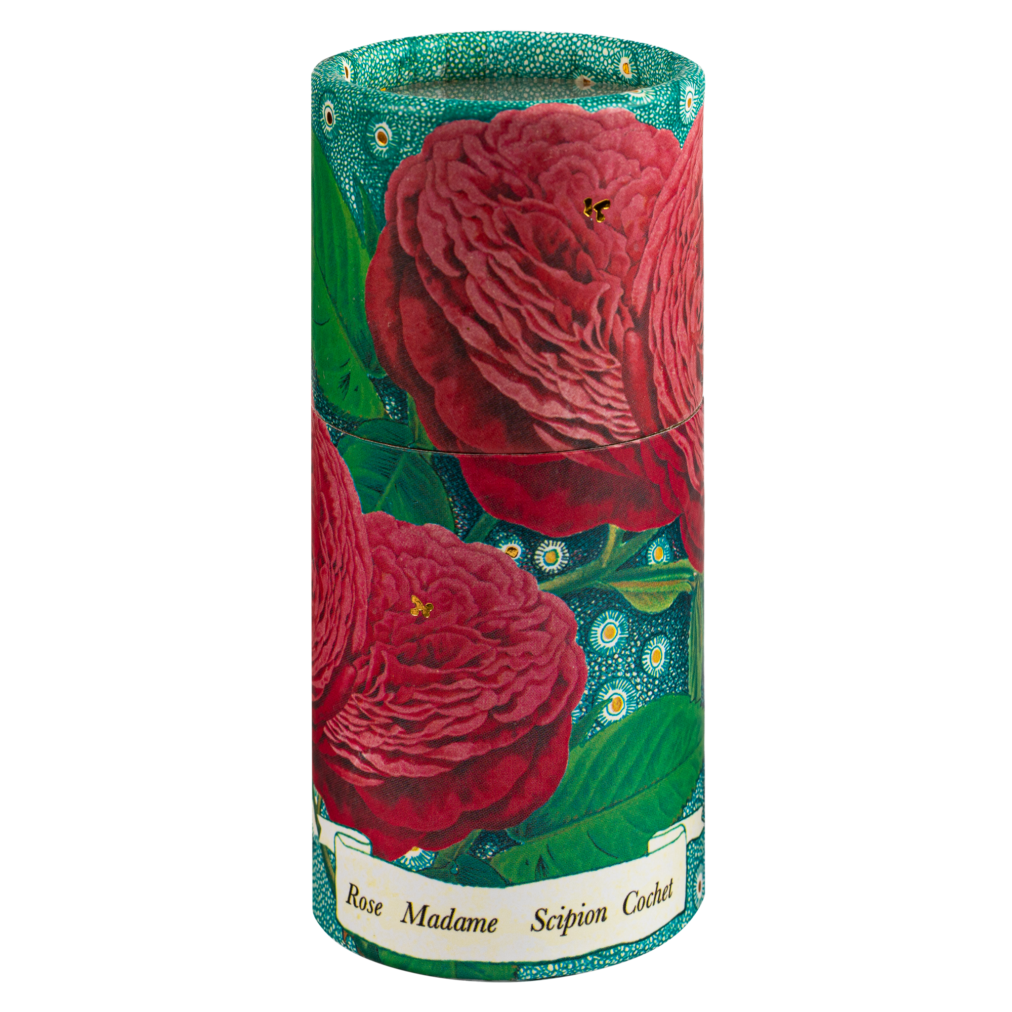 Rose Madame Scipion | Large Cylinder - Safety Matches