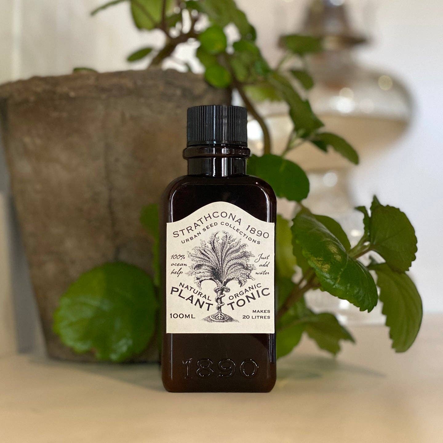 Plant Tonic