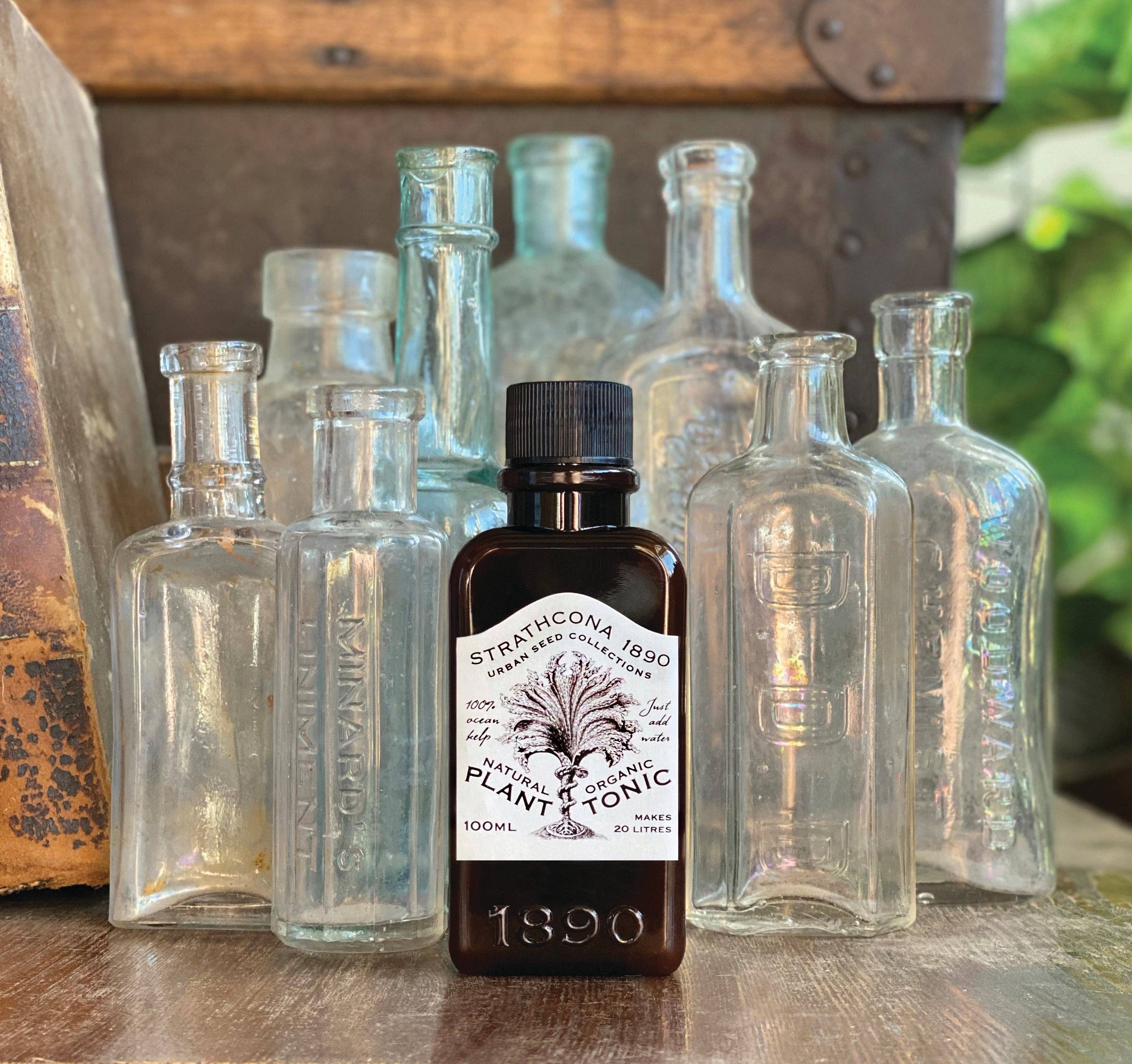 Plant Tonic