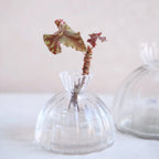 Root Propagation Vase