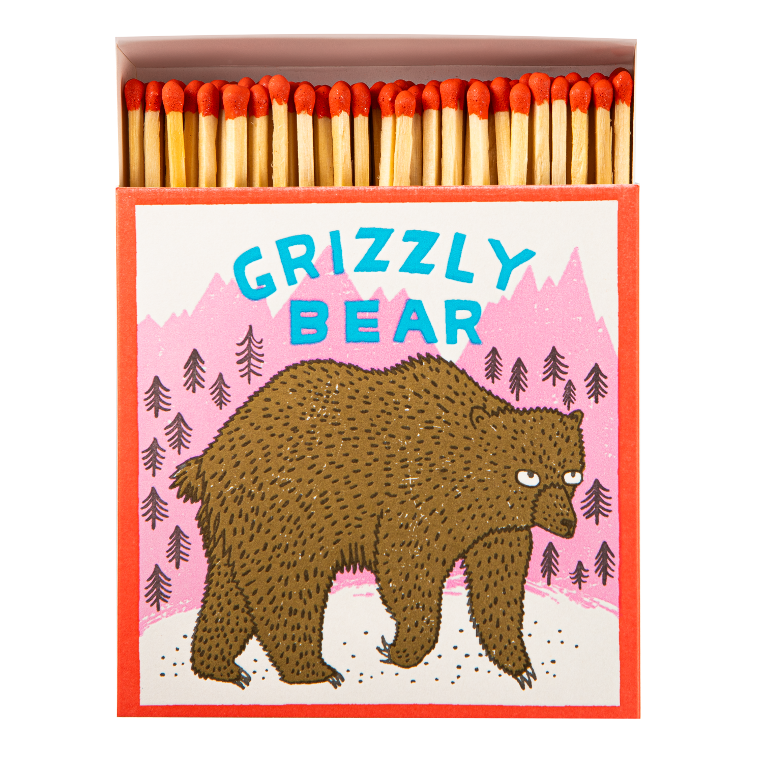 Grizzly Bear | Square - Safety Matches