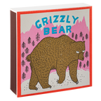 Grizzly Bear | Square - Safety Matches