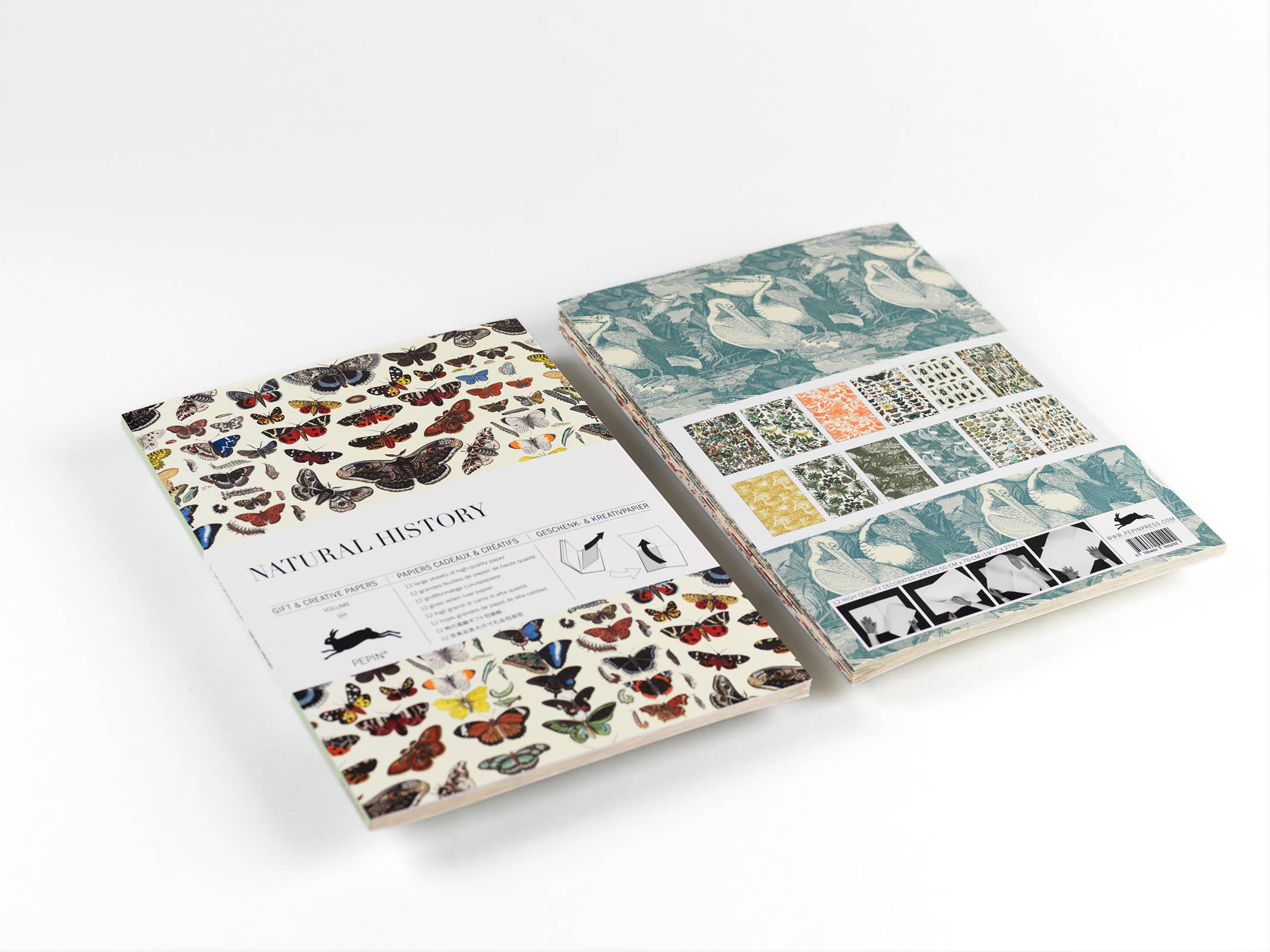 Natural History Gift & Creative Paper Book