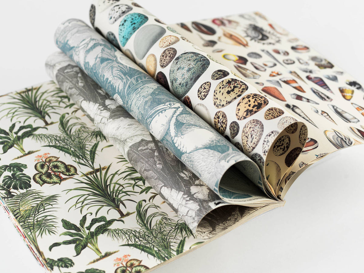 Natural History Gift & Creative Paper Book