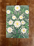 Naked Spine Journal: Cosmos