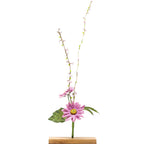 Aster Flower Object Art