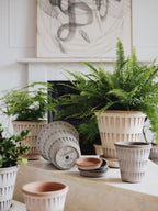 Pantheon Raw Rosa Terracotta Pot