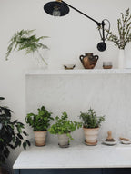 Pantheon Raw Rosa Terracotta Pot