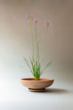 Ada Raw Rosa Terracotta Bowl