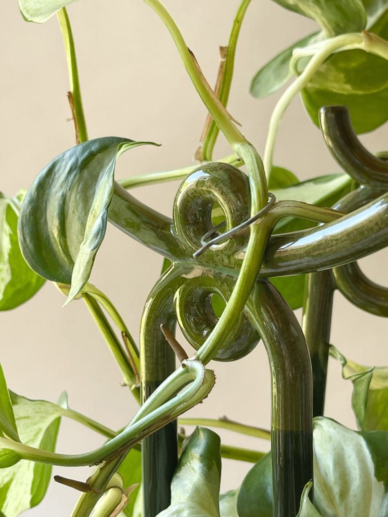 Glazed Plant Stake
