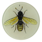 Bee 3 Tray
