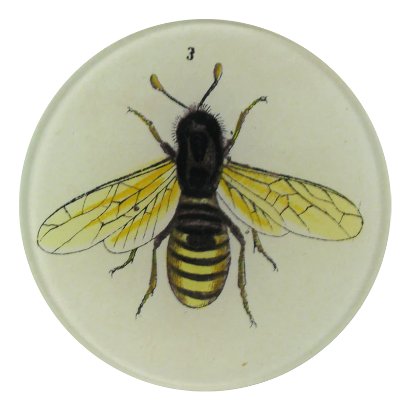 Bee 3 Tray