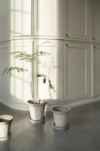 Fleur Raw Grey Terracotta Pot