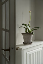 Fleur Raw Grey Terracotta Pot