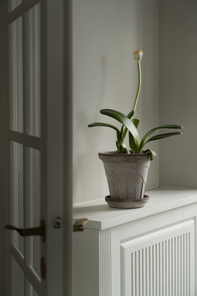 Fleur Raw Grey Terracotta Pot
