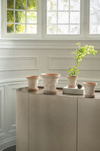 Fleur Raw Rosa Terracotta Pot