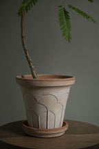 Fleur Raw Rosa Terracotta Pot