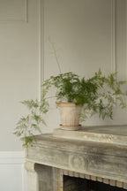 Fleur Raw Rosa Terracotta Pot