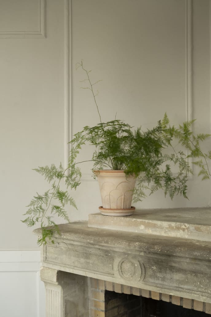 Fleur Raw Rosa Terracotta Pot
