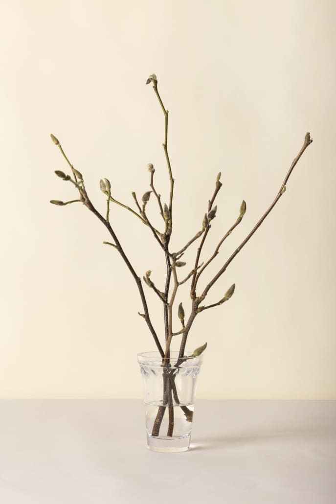 Københavner Glass Vase