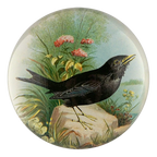 Blackbird Dome Paperweight