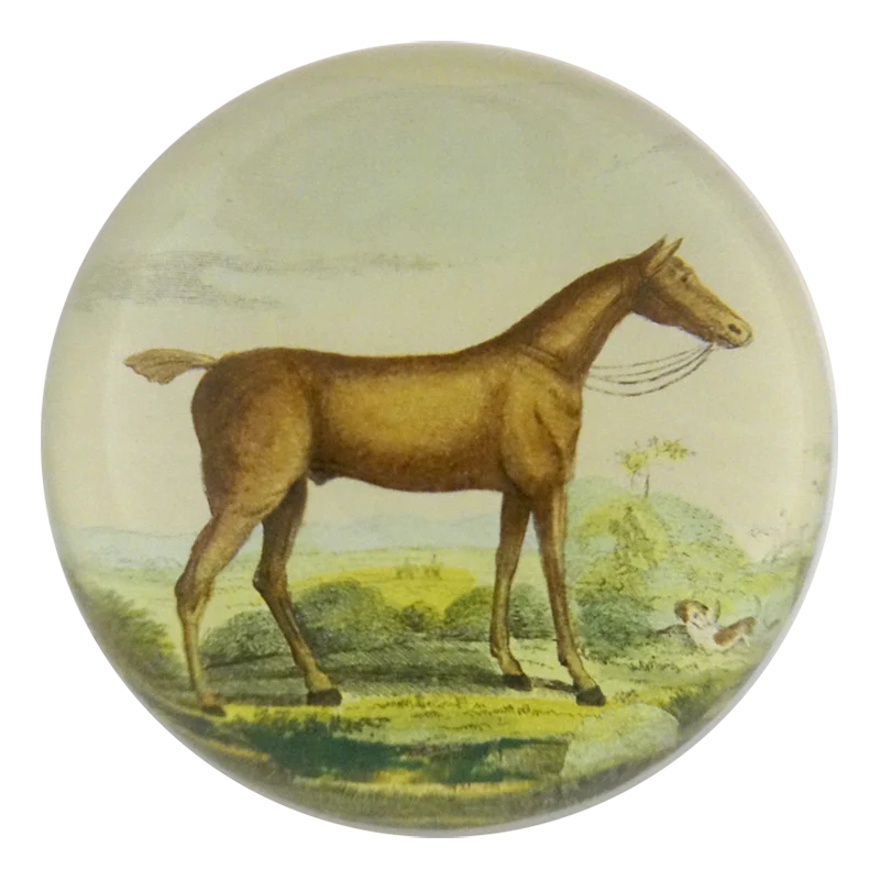 Brown Horse Dome Paperweight