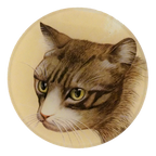 Cat Portrait Tray