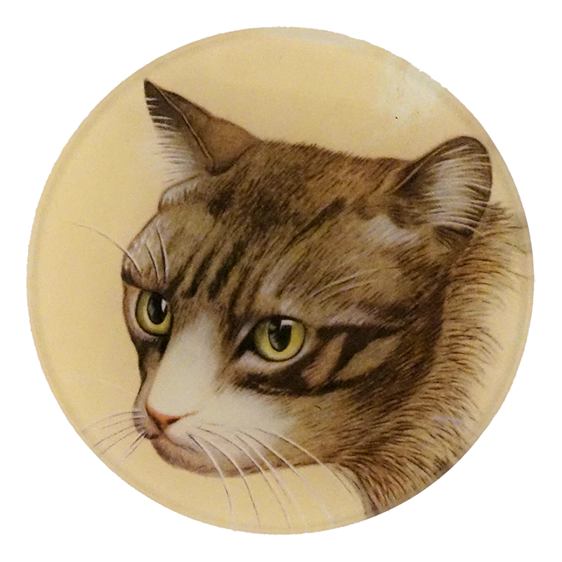 Cat Portrait Tray