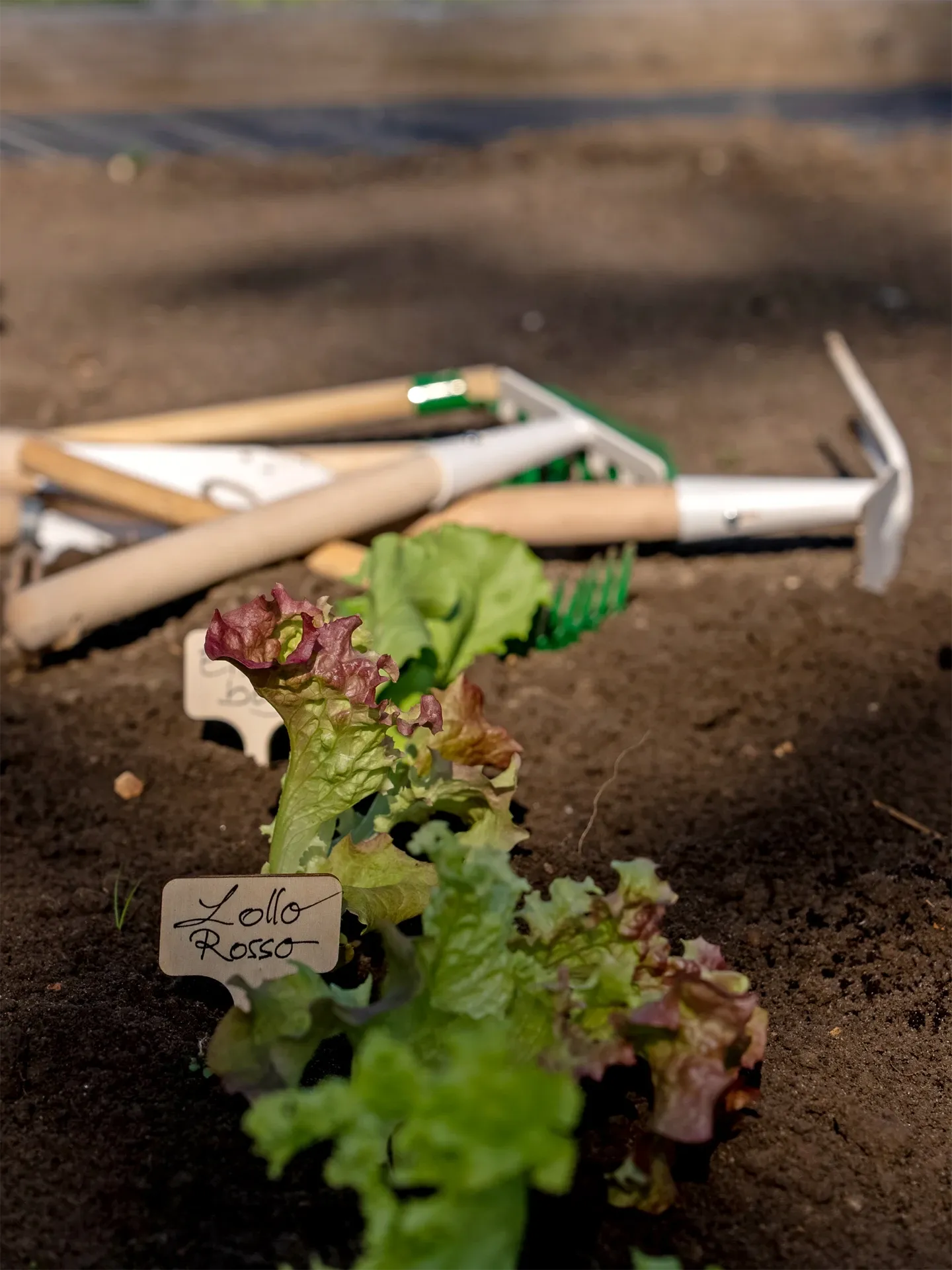 Gardening Tools Set
