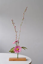 Aster Flower Object Art