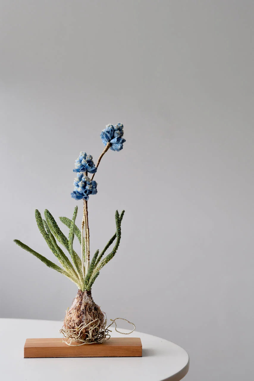 Grape Hyacinth Object Art