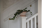 Daisy Raw Rosa Terracotta Pot