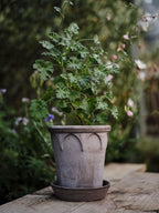 Elizabeth Raw Grey Terracotta Pot