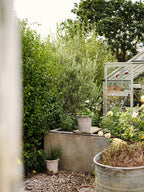 Elizabeth Raw Grey Terracotta Pot