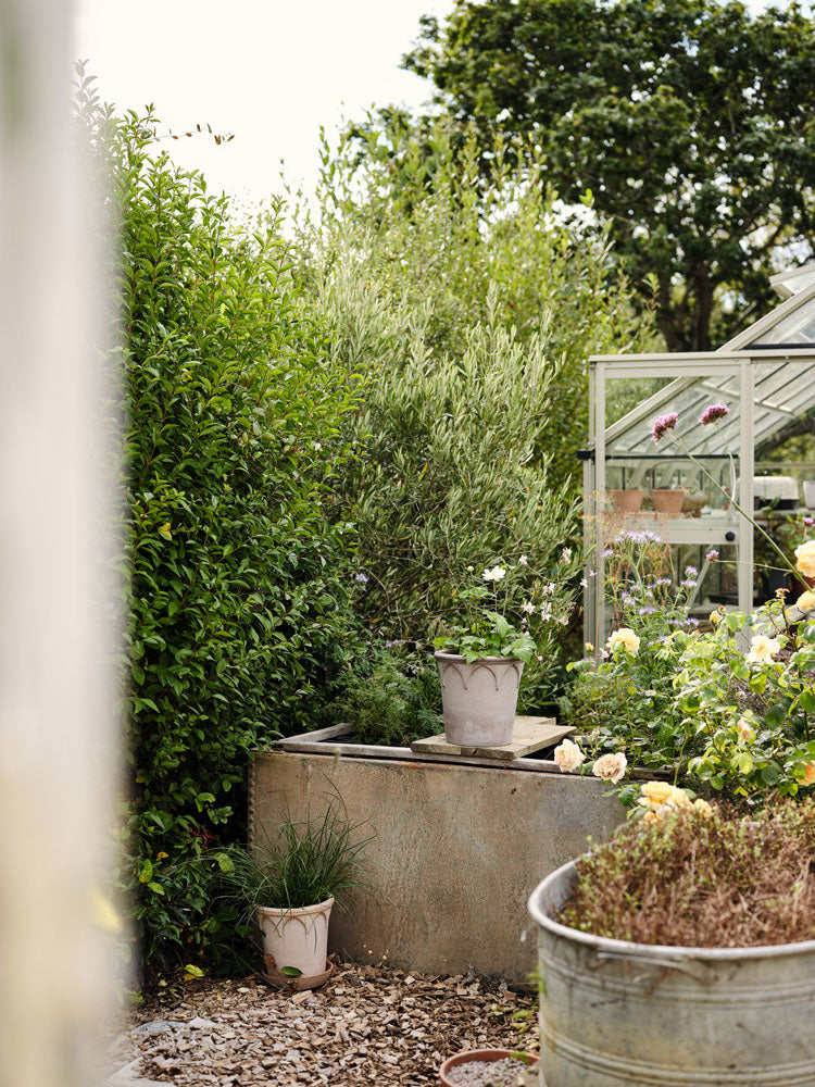 Elizabeth Raw Grey Terracotta Pot