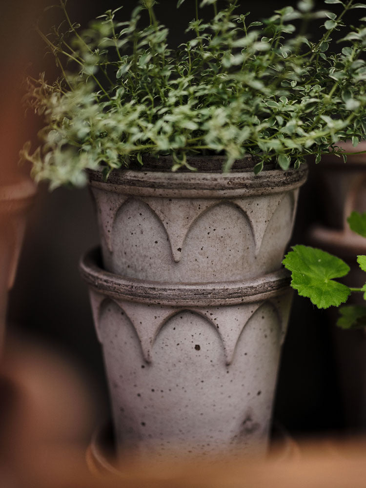 Elizabeth Raw Grey Terracotta Pot