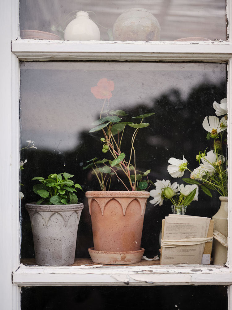 Elizabeth Raw Rosa Terracotta Pot