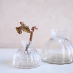 Root Propagation Vase