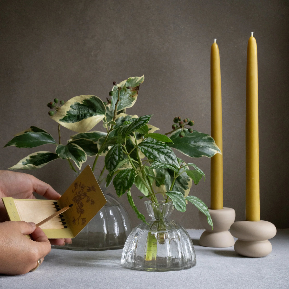Root Propagation Vase
