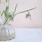 Root Propagation Vase