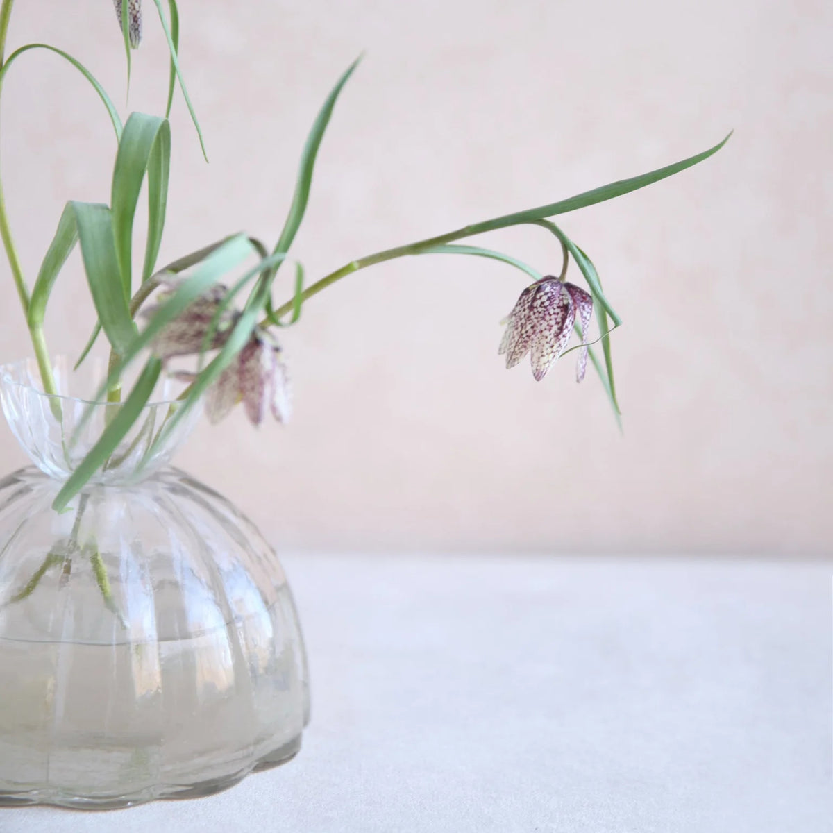 Root Propagation Vase