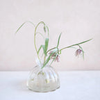 Root Propagation Vase