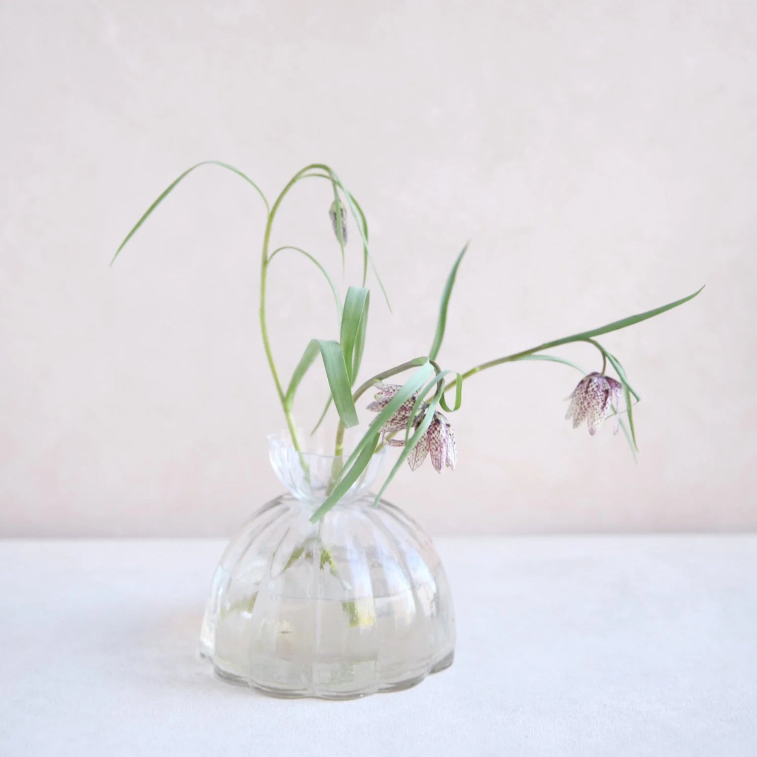 Root Propagation Vase