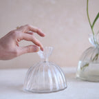 Root Propagation Vase