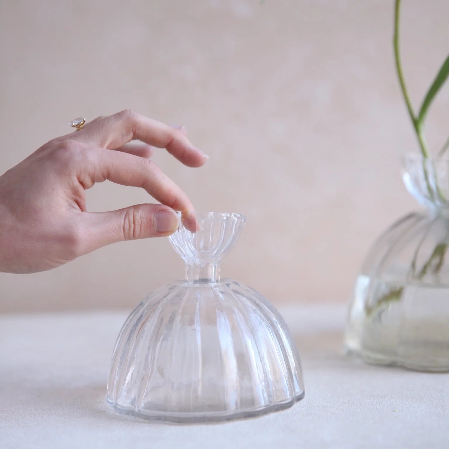 Root Propagation Vase