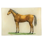 Golden Horse Tray
