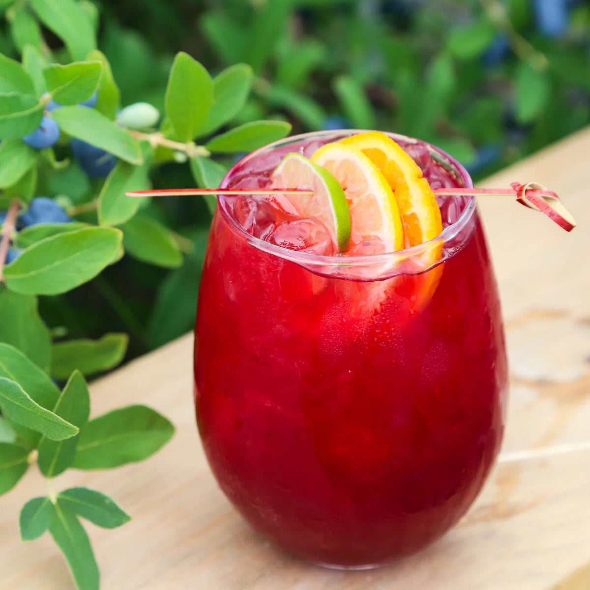 Distemperance Haskap Citrus Chili Sangria