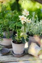 Helena Raw Grey Terracotta Pot