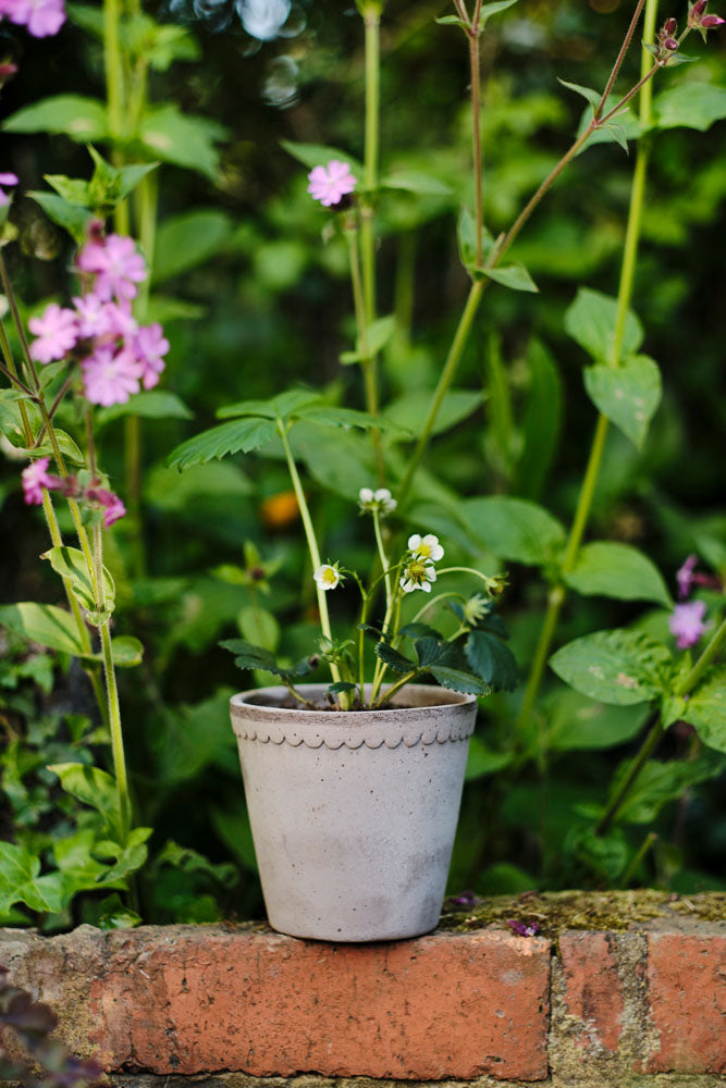 Helena Raw Grey Terracotta Pot